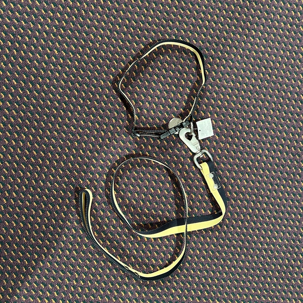 NWT Old Navy Collar L and matching leash set